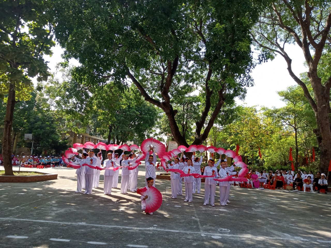 ẢNH 5